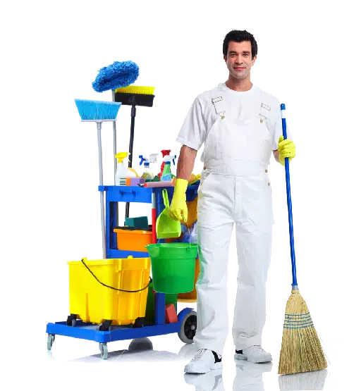 Carpet Cleaning Auckland